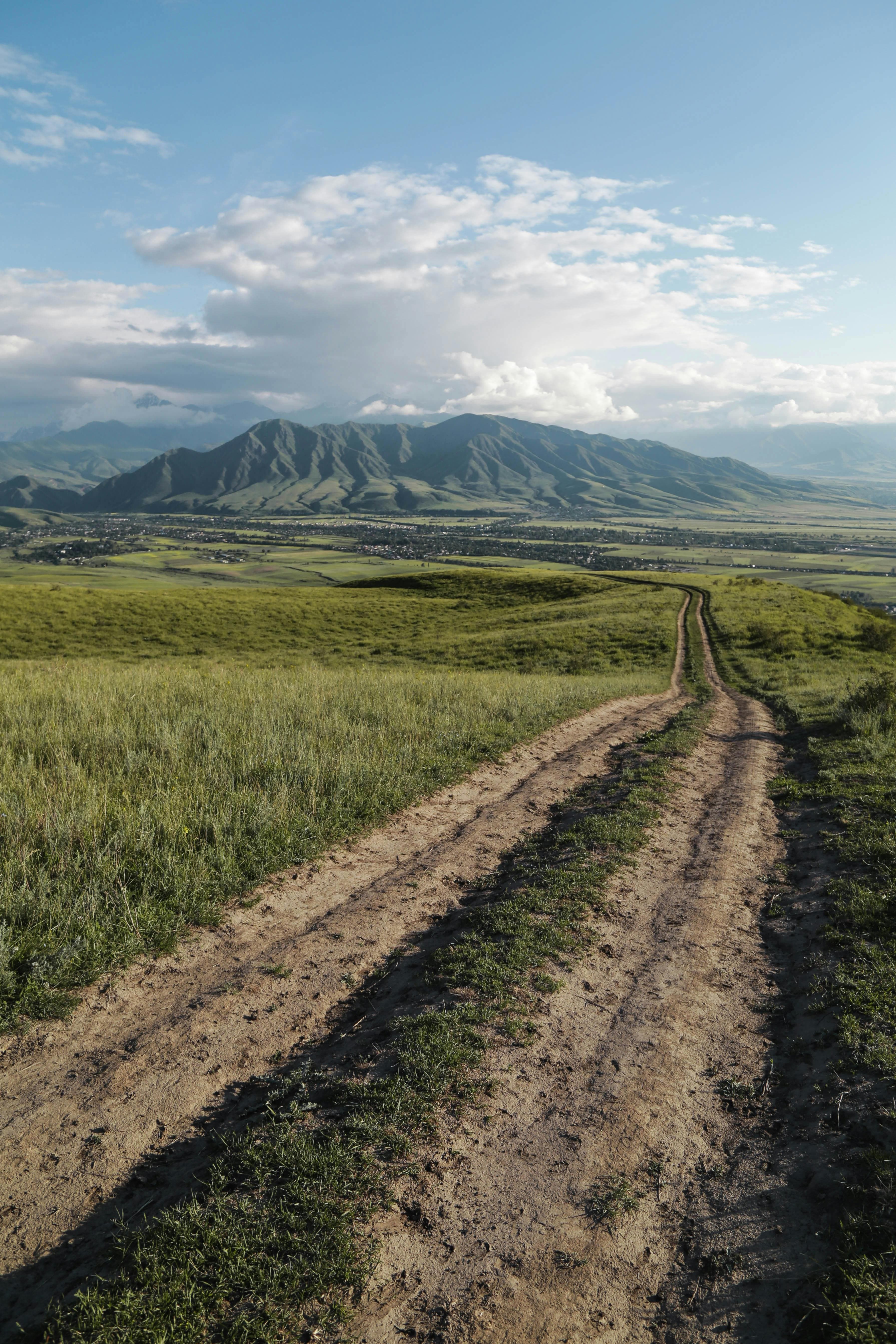 Wie Herkunft und Blüten den Geschmack von Honig prägen